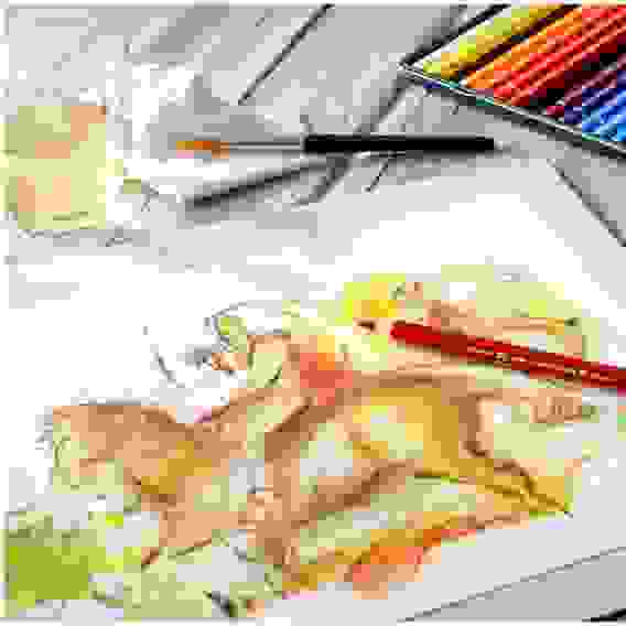 Карандаши Faber-Castell \"Albrecht Dürer Magnus\" акварельные художественные, набор из 24 цветов